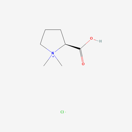 Stachydrine hydrochloride (CAS: 4136-37-2) - Chemical Structure and Molecular Formula 