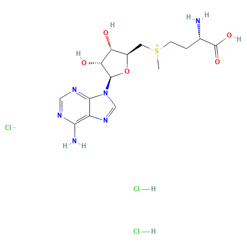 S-(5'-Adenosyl)-L-methionine chloride dihydrochloride (CAS: 86867-01-8) - Related Chemical Product