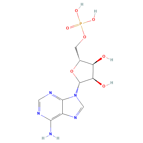 Adenosine Monophosphate (CAS: 67583-85-1) - Related Chemical Product