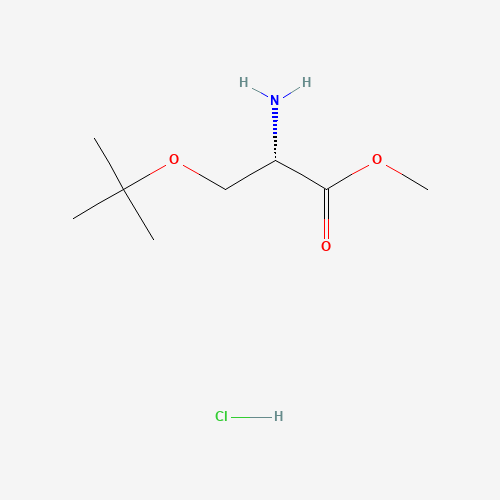H-Ser(tBu)-OMe HCl (CAS: 114-97-5) - Chemical Structure and Molecular Formula 