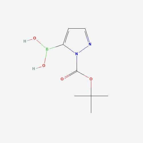 1-(T-BUTOXYCARBONYL)PYRAZOLE-5-BORONIC ACID (CAS: 1217500-54-3) - Related Chemical Product