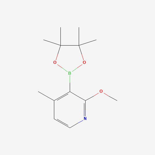 2-METHOXY-4-METHYL-3-(4,4,5,5-TETRAMETHYL-1,3,2-DIOXABOROLAN-2-YL)PYRIDINE (CAS: 1420998-43-1) - Related Chemical Product