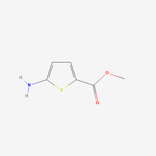 Methyl 5-aminothiophene-2-carboxylate (CAS: 14597-58-1) - Related Chemical Product