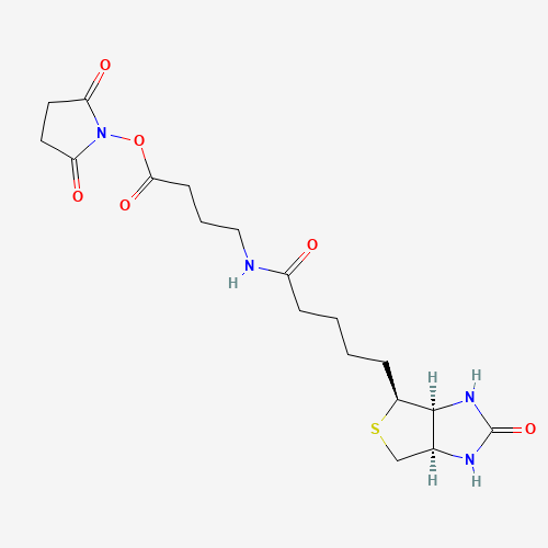 2,5-Dioxopyrrolidin-1-yl 4-(5-((3aS,4S,6aR)-2-oxohexahydro-1H-thieno[3,4-d]imidazol-4-yl)pentanamido)butanoate (CAS: 258289-54-2) - Related Chemical Product