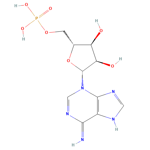 3-Isoadenosine 5'-phosphate (CAS: 2862-19-3) - Related Chemical Product