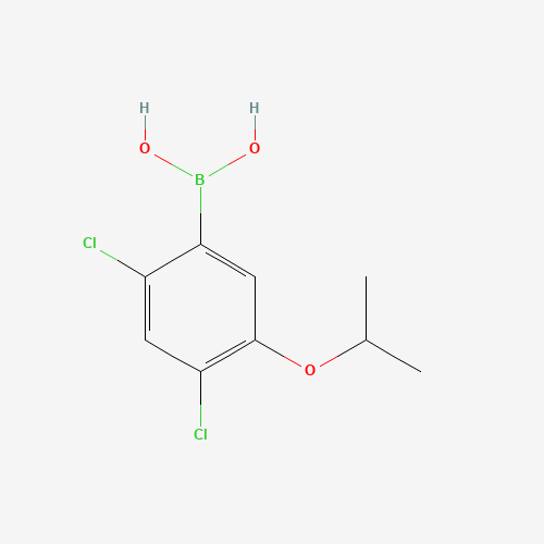 2,4-DICHLORO-5-ISOPROPOXYPHENYLBORONIC ACID (CAS: 325786-18-3) - Related Chemical Product