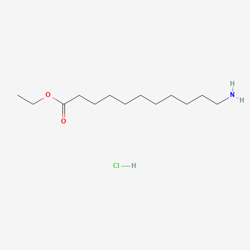Undecanoic acid, 11-amino-, ethyl ester, hydrochloride (CAS: 3350-21-8) - Chemical Structure and Molecular Formula 