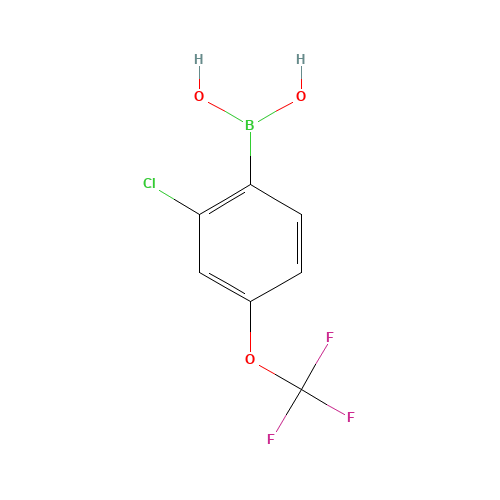 2-CHLORO-4-TRIFLUOROMETHOXYPHENYLBORONIC ACID (CAS: 345226-20-2) - Related Chemical Product