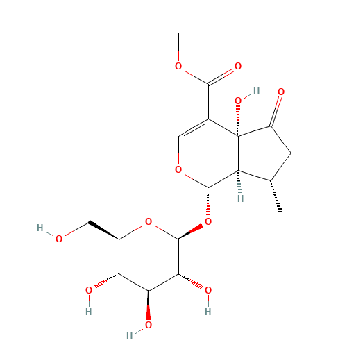 1a-(B-D-Glucopyranosyloxy)-1,4a,5,6,7,7aa-hexahydro-4aa-hydroxy-7a-methyl-5-oxocyclopenta[c]pyran-4-carboxylic acid methyl ester (CAS: 50816-24-5) - Related Chemical Product