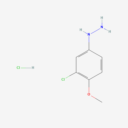 (3-Chloro-4-methoxyphenyl)hydrazine hydrochloride (CAS: 54812-55-4) - Chemical Structure and Molecular Formula 