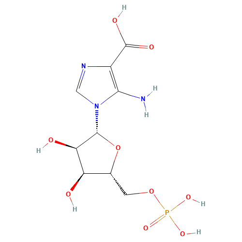 carboxyaminoimidazole ribotide (CAS: 6001-14-5) - Related Chemical Product