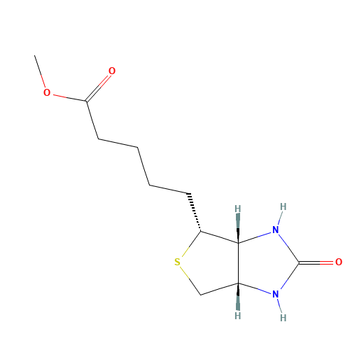 Methyl 5-((3aR,4R,6aS)-rel-2-oxohexahydro-1H-thieno[3,4-d]imidazol-4-yl)pentanoate (CAS: 60562-11-0) - Related Chemical Product