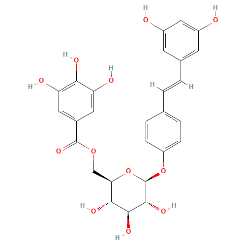 Resveratrol 4'-(6"-galloylglucoside) (CAS: 64898-03-9) - Related Chemical Product