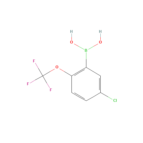 5-CHLORO-2-(TRIFLUOROMETHOXY)PHENYLBORONIC ACID (CAS: 870822-78-9) - Related Chemical Product