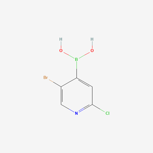 5-Bromo-2-chloropyridine-4-boronic acid (CAS: 871329-63-4) - Related Chemical Product