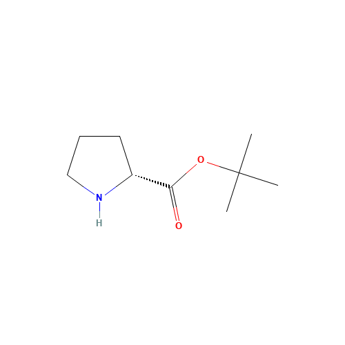 H-D-PRO-OTBU (CAS: 90071-62-8) - Related Chemical Product