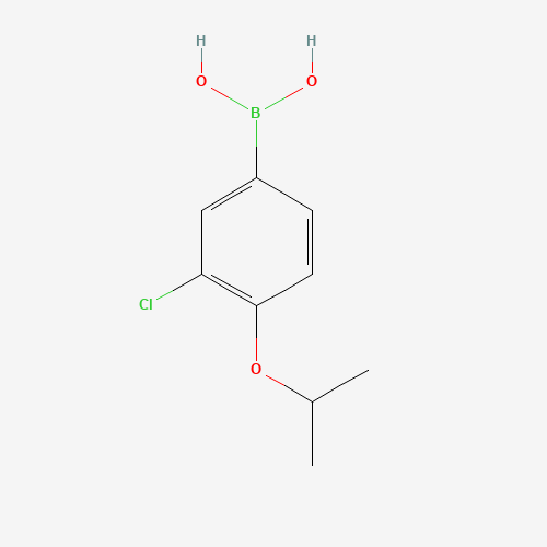 3-CHLORO-4-ISOPROPOXYPHENYLBORONIC ACID (CAS: 480438-56-0) - Related Chemical Product