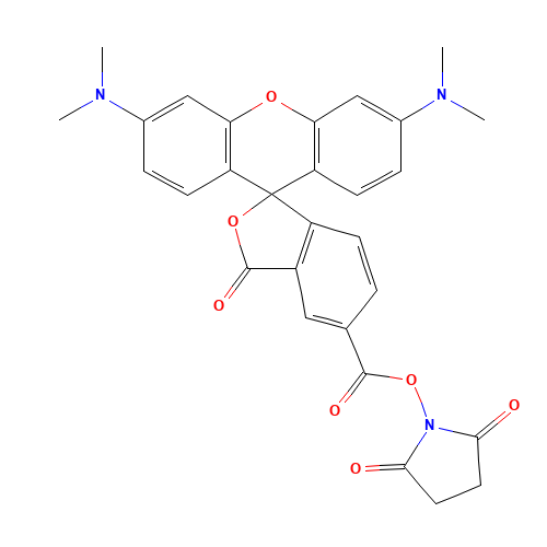 (2,5-dioxopyrrolidin-1-yl) 3',6'-bis(dimethylamino)-3-oxospiro[2-benzofuran-1,9'-xanthene]-5-carboxylate (CAS: 150408-83-6) - Related Chemical Product