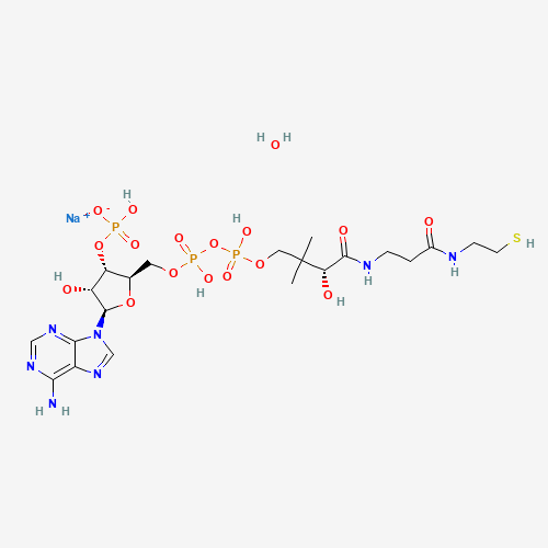 Coenzyme A Sodium salt (CAS: 55672-92-9) - Related Chemical Product