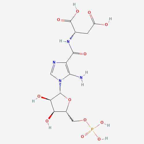 (2S)-2-[[5-amino-1-[(2R,3R,4S,5R)-3,4-dihydroxy-5-(phosphonooxymethyl)oxolan-2-yl]imidazole-4-carbonyl]amino]butanedioic acid (CAS: 3031-95-6) - Related Chemical Product