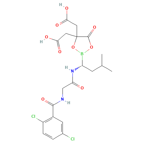 2-[4-(carboxymethyl)-2-[(1R)-1-[[2-[(2,5-dichlorobenzoyl)amino]acetyl]amino]-3-methylbutyl]-5-oxo-1,3,2-dioxaborolan-4-yl]acetic acid (CAS: 1239908-20-3) - Related Chemical Product