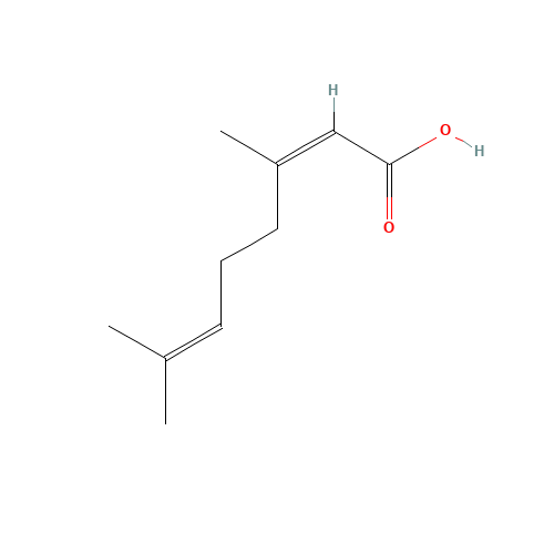 (2Z)-3,7-dimethylocta-2,6-dienoic acid (CAS: 4613-38-1) - Chemical Structure and Molecular Formula 