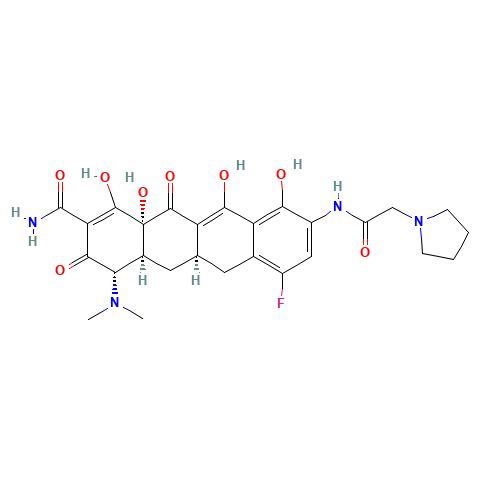(4S,4aS,5aR,12aR)-4-(dimethylamino)-7-fluoro-1,10,11,12a-tetrahydroxy-3,12-dioxo-9-[(2-pyrrolidin-1-ylacetyl)amino]-4a,5,5a,6-tetrahydro-4H-tetracene-2-carboxamide (CAS: 1207283-85-9) - Chemical Structure and Molecular Formula 