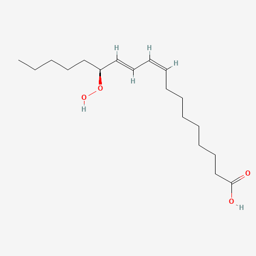 (9Z,11E,13S)-13-hydroperoxyoctadeca-9,11-dienoic acid (CAS: 33964-75-9) - Related Chemical Product
