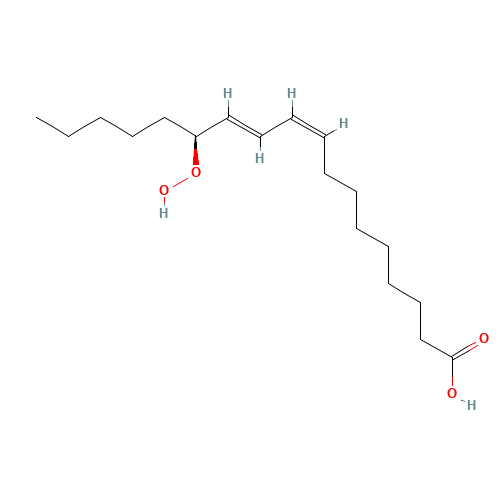 (9Z,11E,13S)-13-hydroperoxyoctadeca-9,11-dienoic acid (CAS: 33964-75-9) - Related Chemical Product