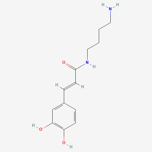 (E)-N-(4-aminobutyl)-3-(3,4-dihydroxyphenyl)prop-2-enamide (CAS: 29554-26-5) - Related Chemical Product