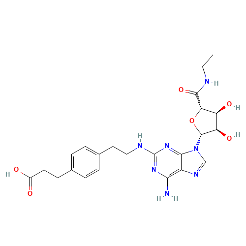 3-[4-[2-[[6-amino-9-[(2R,3R,4S,5S)-5-(ethylcarbamoyl)-3,4-dihydroxyoxolan-2-yl]purin-2-yl]amino]ethyl]phenyl]propanoic acid (CAS: 120225-54-9) - Related Chemical Product