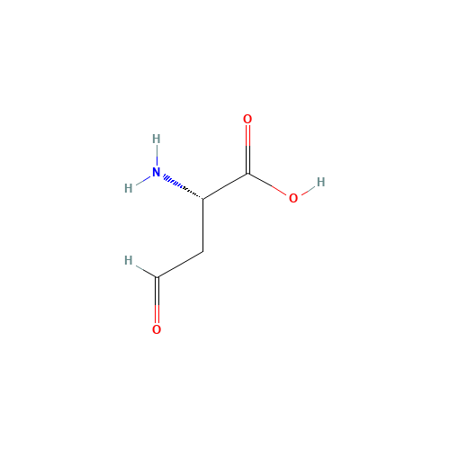 L-aspartate 4-semialdehyde (CAS: 2338-03-6) - Related Chemical Product