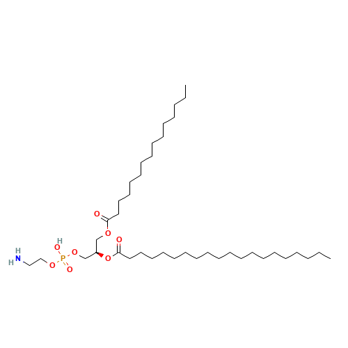 PHOSPHATIDYLETHANOLAMINE (CAS: 39382-08-6) - Related Chemical Product