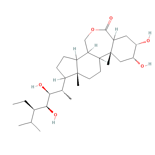 22(S),23(S)-Homobrassinolide (CAS: 110369-52-3) - Related Chemical Product