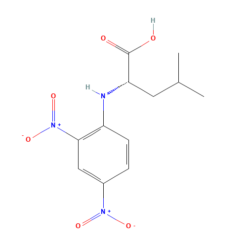 N-(2,4-Dinitrophenyl)-L-leucine (CAS: 1655-57-8) - Chemical Structure and Molecular Formula 