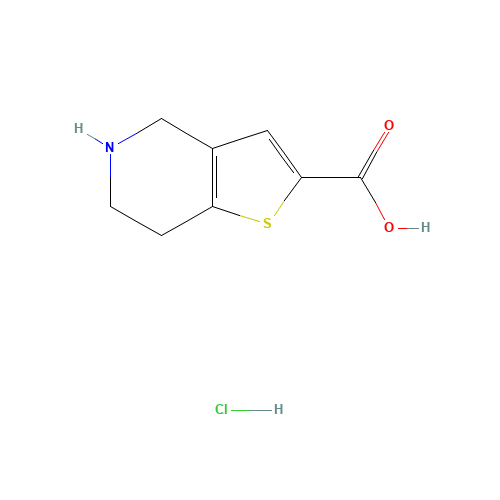 4,5,6,7-tetrahydrothieno[3,2-c]pyridine-2-carboxylic acid;hydrochloride (CAS: 116118-99-1) - Related Chemical Product