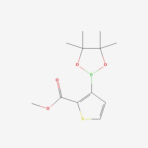 methyl 3-(4,4,5,5-tetramethyl-1,3,2-dioxaborolan-2-yl)thiophene-2-carboxylate (CAS: 1227664-10-9) - Chemical Structure and Molecular Formula 