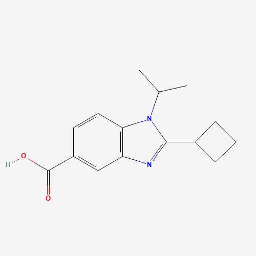 2-cyclobutyl-1-propan-2-ylbenzimidazole-5-carboxylic acid (CAS: 1225215-12-2) - Related Chemical Product