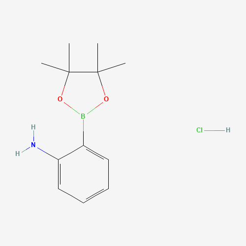 2-(4,4,5,5-tetramethyl-1,3,2-dioxaborolan-2-yl)aniline;hydrochloride (CAS: 393877-09-3) - Related Chemical Product