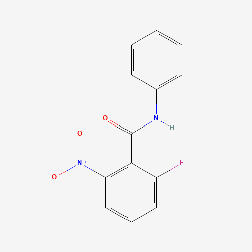 2-fluoro-6-nitro-N-phenylbenzamide (CAS: 870281-83-7) - Related Chemical Product