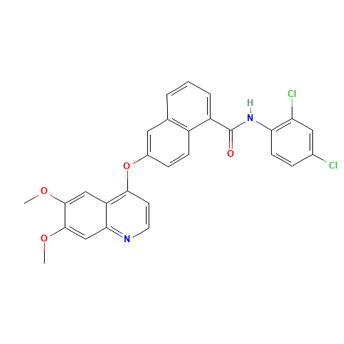 N-(2,4-dichlorophenyl)-6-(6,7-dimethoxyquinolin-4-yl)oxynaphthalene-1-carboxamide (CAS: 861874-32-0) - Related Chemical Product