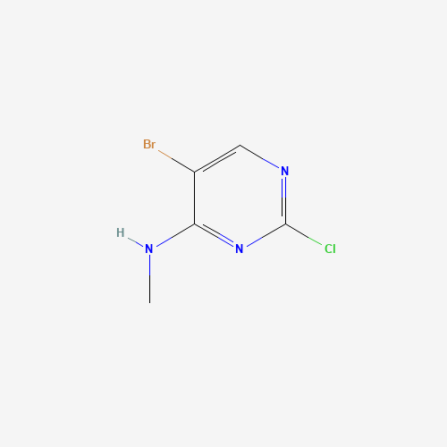 5-bromo-2-chloro-N-methylpyrimidin-4-amine (CAS: 205672-24-8) - Related Chemical Product