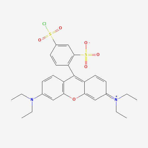 5-chlorosulfonyl-2-[3-(diethylamino)-6-diethylazaniumylidenexanthen-9-yl]benzenesulfonate (CAS: 62796-29-6) - Related Chemical Product