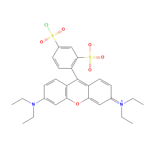 5-chlorosulfonyl-2-[3-(diethylamino)-6-diethylazaniumylidenexanthen-9-yl]benzenesulfonate (CAS: 62796-29-6) - Chemical Structure and Molecular Formula 