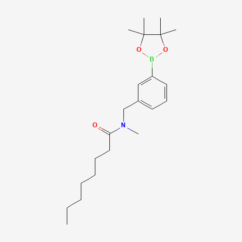 N-methyl-N-[[3-(4,4,5,5-tetramethyl-1,3,2-dioxaborolan-2-yl)phenyl]methyl]octanamide (CAS: 876169-12-9) - Related Chemical Product