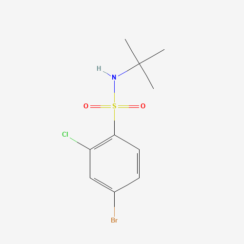 4-bromo-N-tert-butyl-2-chlorobenzenesulfonamide (CAS: 1169483-92-4) - Related Chemical Product