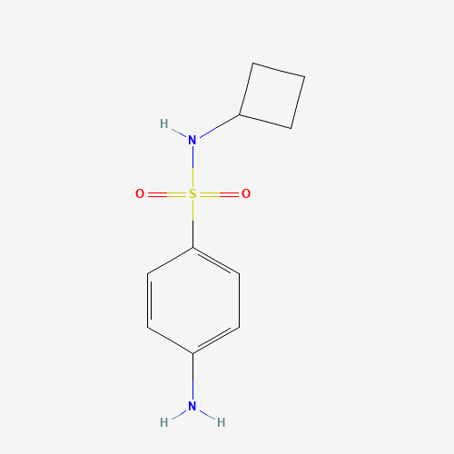 4-amino-N-cyclobutylbenzenesulfonamide (CAS: 477723-16-3) - Related Chemical Product