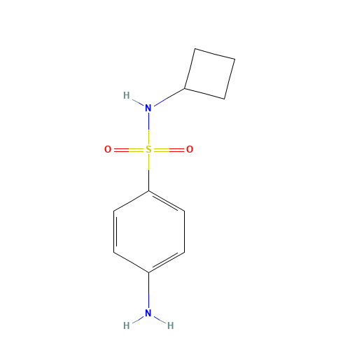 4-amino-N-cyclobutylbenzenesulfonamide (CAS: 477723-16-3) - Related Chemical Product