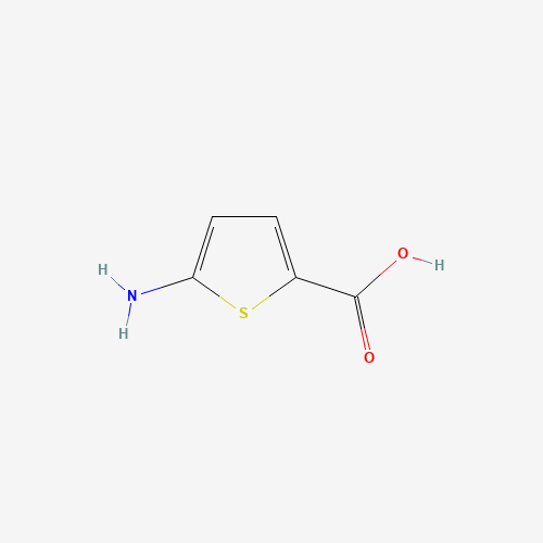 5-aminothiophene-2-carboxylic acid (CAS: 204068-72-4) - Chemical Structure and Molecular Formula 