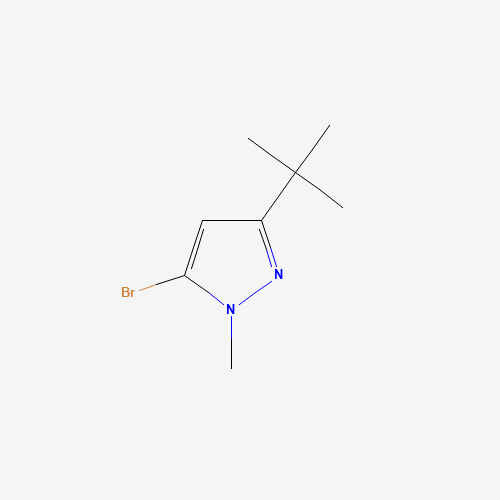 5-bromo-3-tert-butyl-1-methylpyrazole (CAS: 1187968-59-7) - Chemical Structure and Molecular Formula 